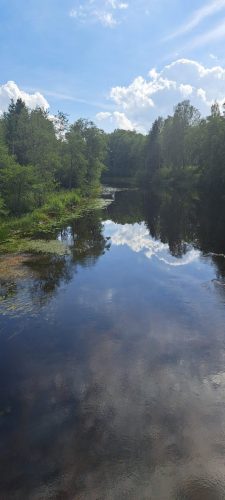 Vid Älgafallet