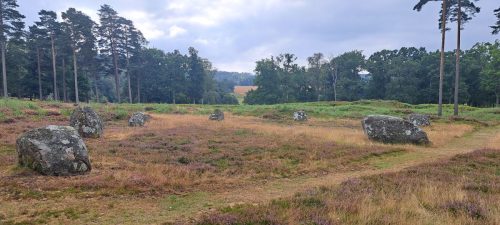 Blomsholms domarring